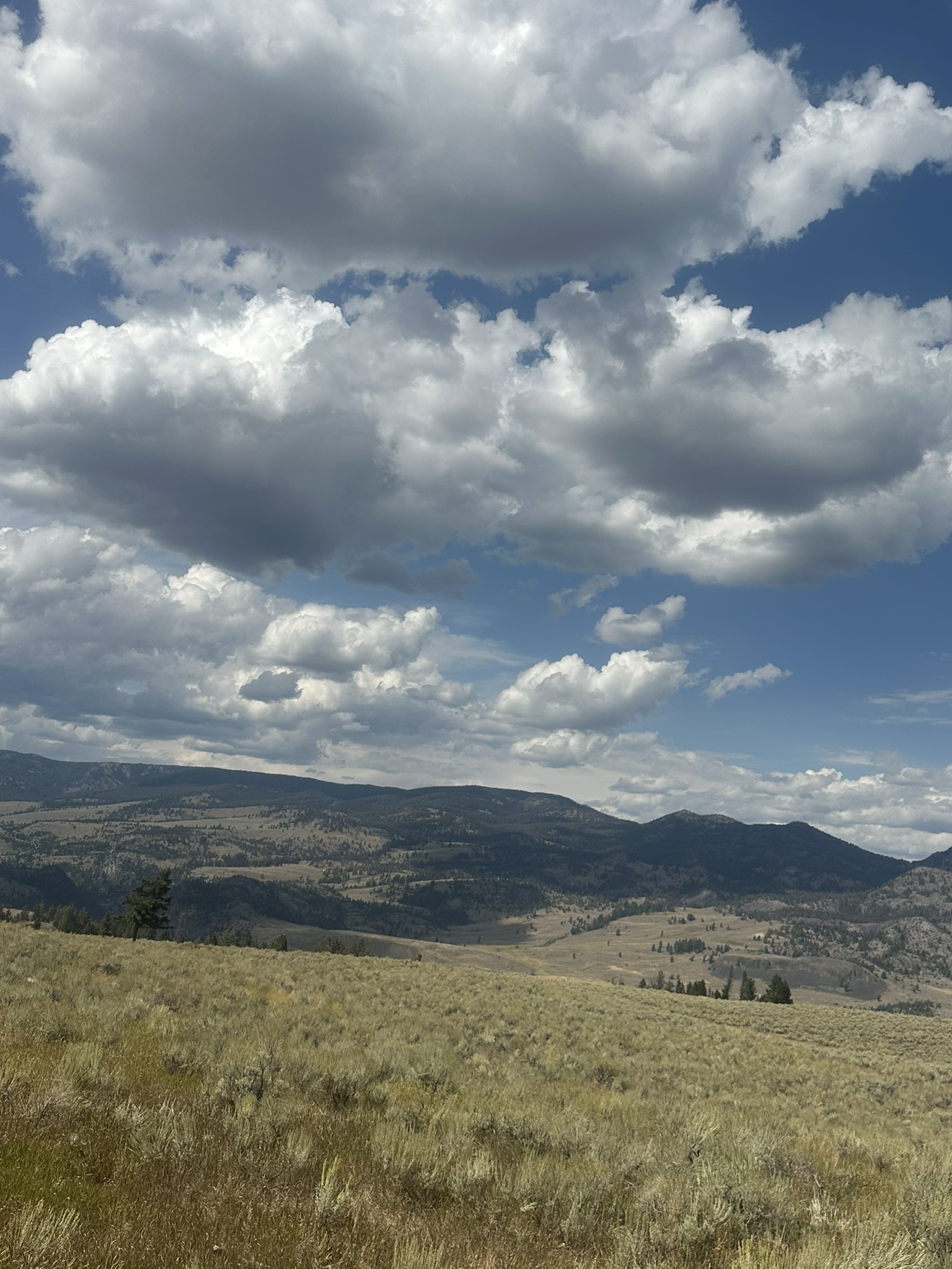 Yellowstone And Grand Teton National Parks - Image 767